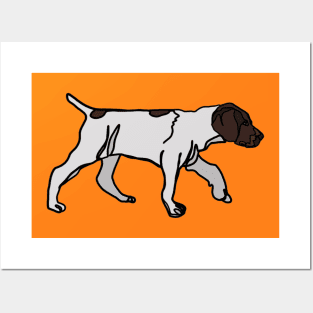 Pointer Puppy Posters and Art